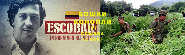 винт Бородино